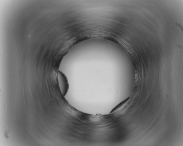 X0000096150142200801180837