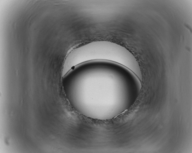 X0000096150144200801180837