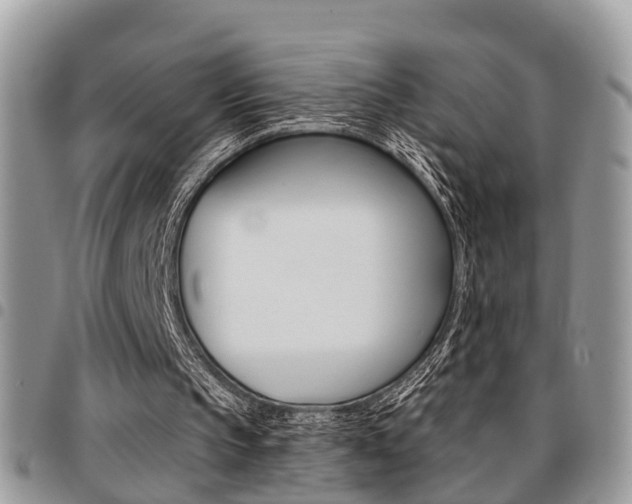 X0000096150145200801180837