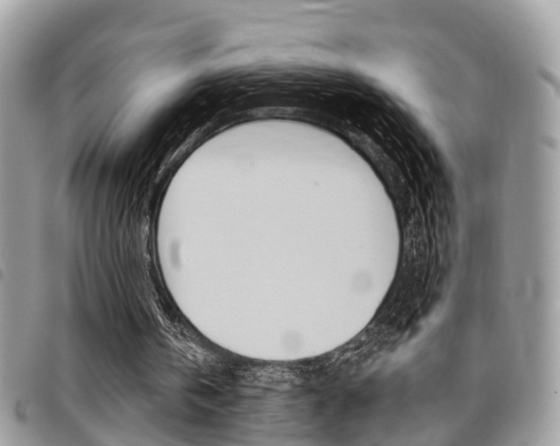 X0000096150146200801180837
