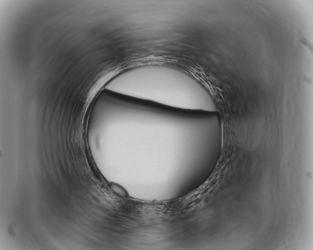 X0000096150147200801180837