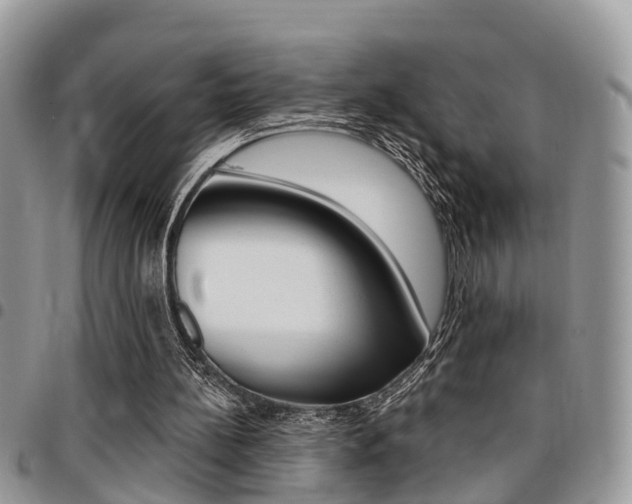 X0000096150148200801180837