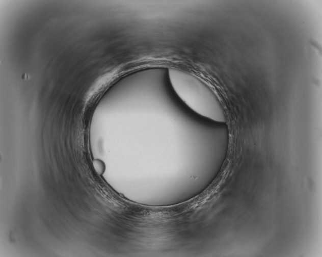 X0000096150149200801180837