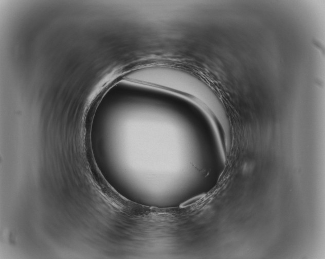 X0000096150150200801180837