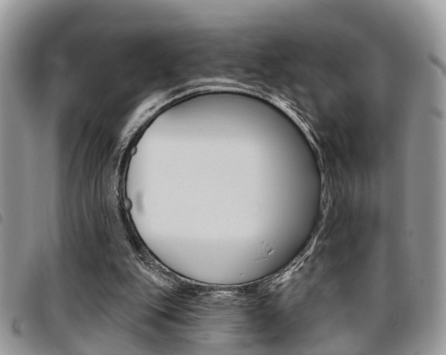X0000096150151200801180837