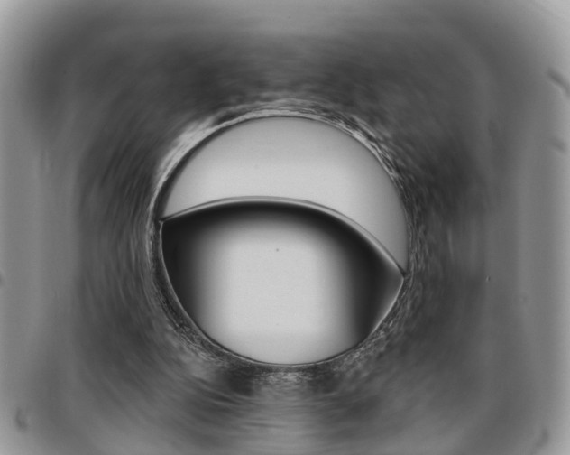 X0000096150152200801180837