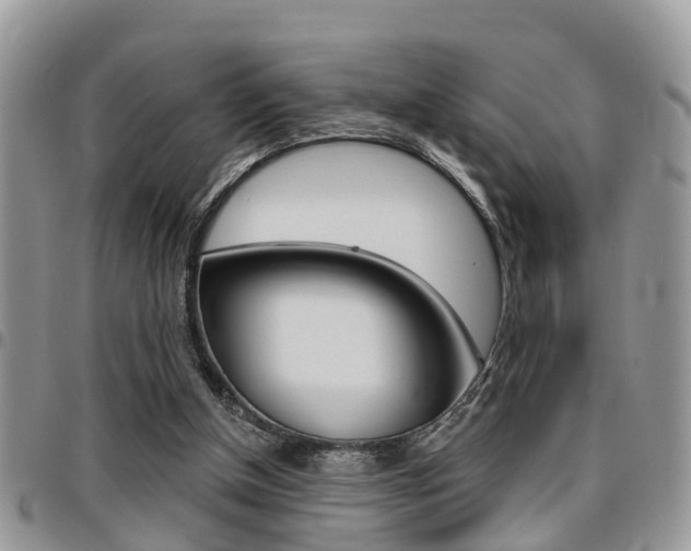 X0000096150154200801180837