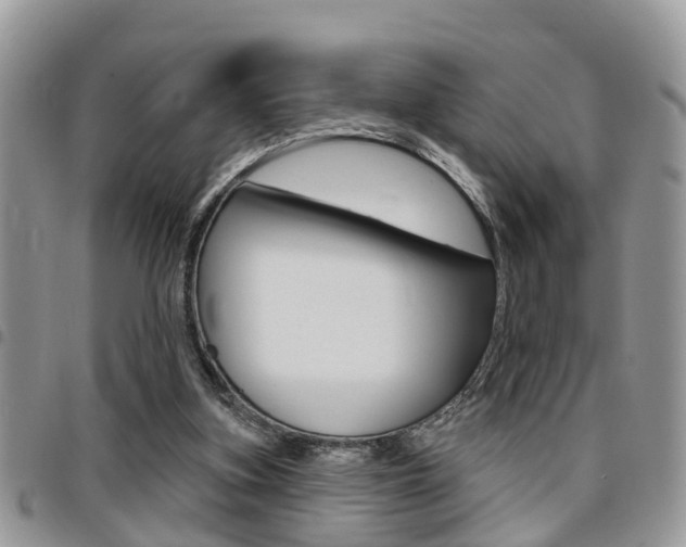 X0000096150155200801180837