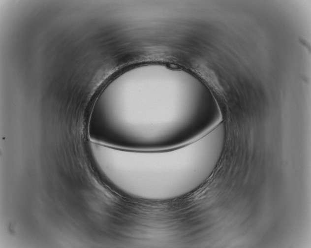 X0000096150156200801180837