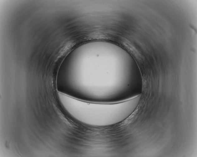 X0000096150158200801180837