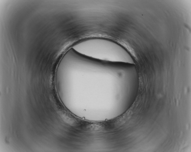 X0000096150159200801180837