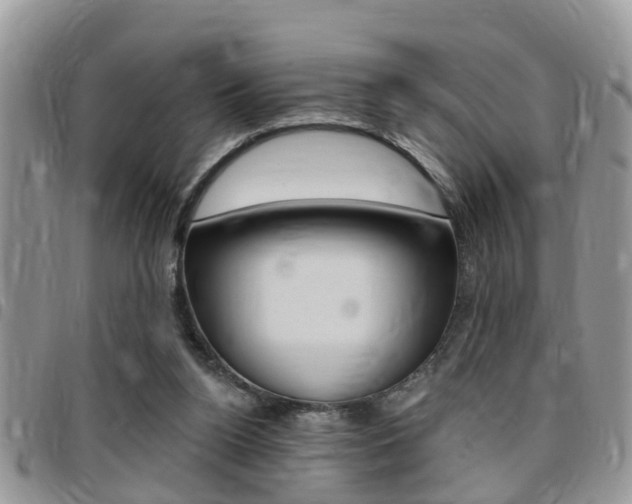 X0000096150160200801180837