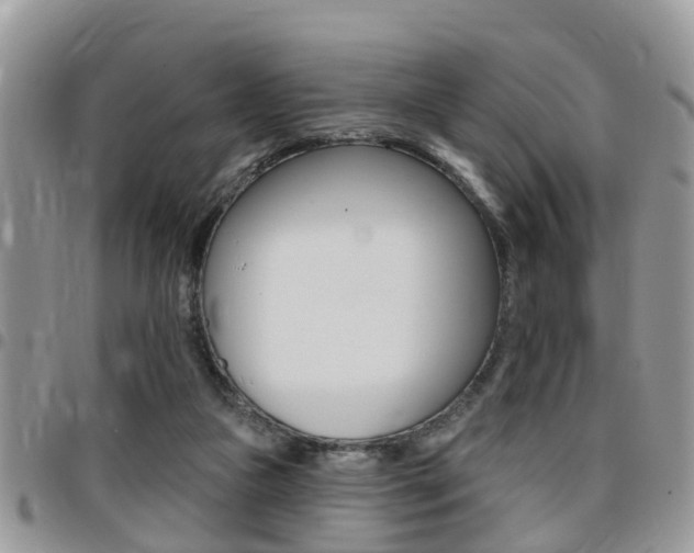 X0000096150161200801180837