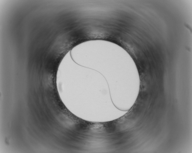 X0000096150162200801180837