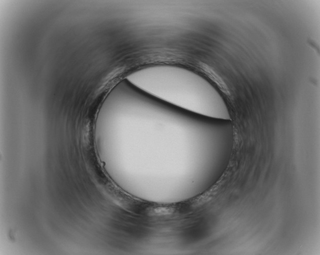 X0000096150163200801180837