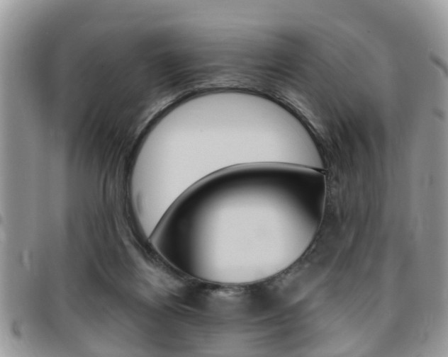 X0000096150164200801180837