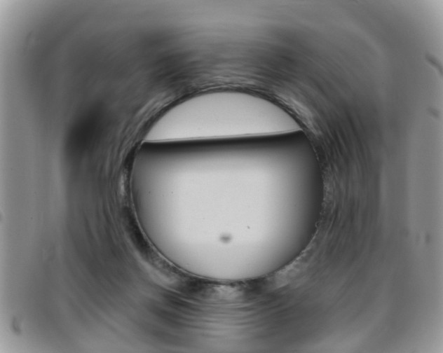 X0000096150166200801180837