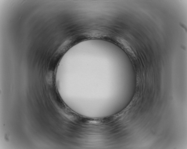 X0000096150167200801180837