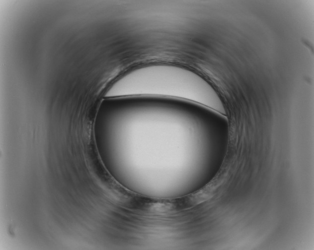 X0000096150168200801180837