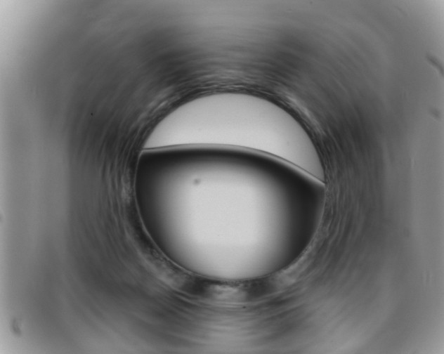 X0000096150170200801180837