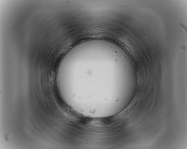 X0000096150171200801180837