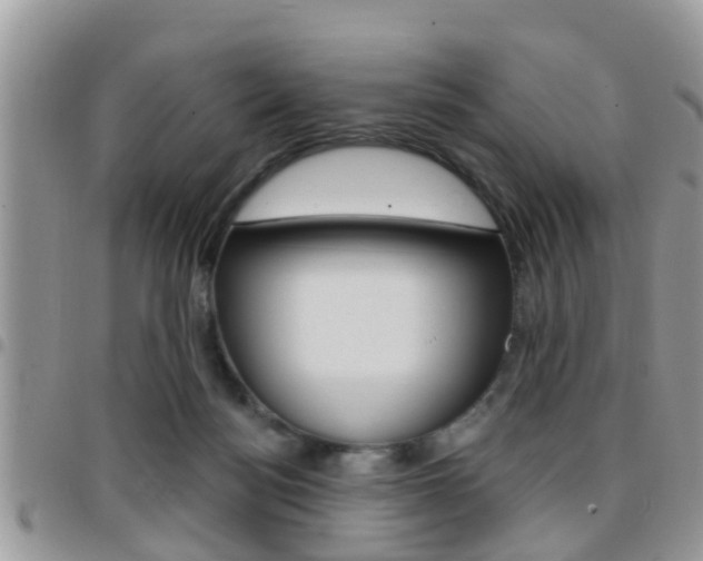 X0000096150172200801180837