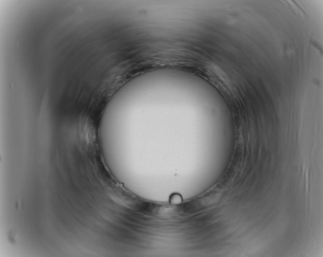 X0000096150173200801180837