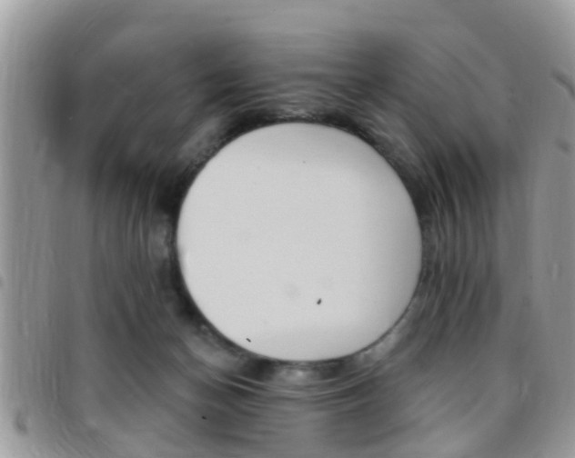 X0000096150174200801180837
