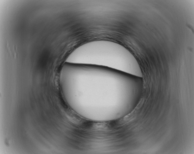 X0000096150175200801180837