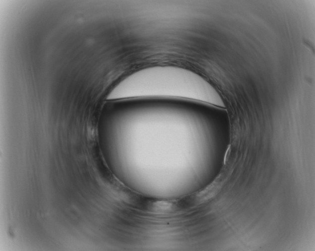 X0000096150176200801180837