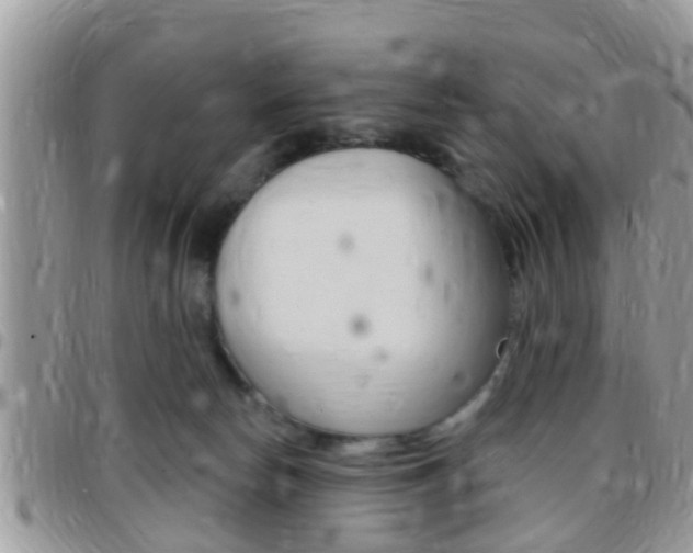 X0000096150178200801180837