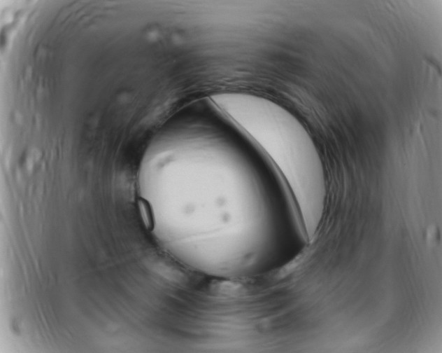 X0000096150180200801180837