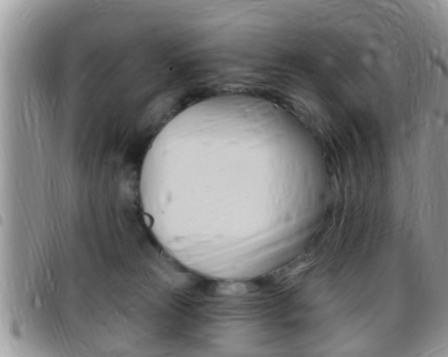X0000096150181200801180837