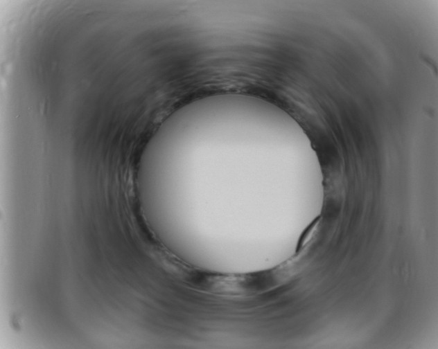 X0000096150182200801180837
