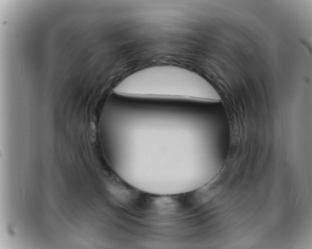 X0000096150183200801180837