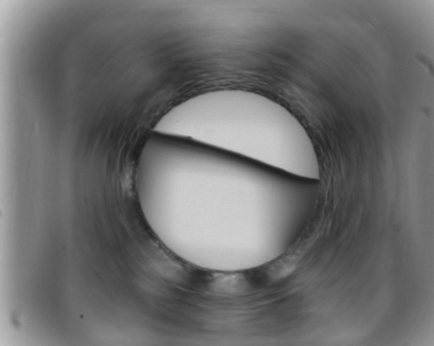 X0000096150185200801180837