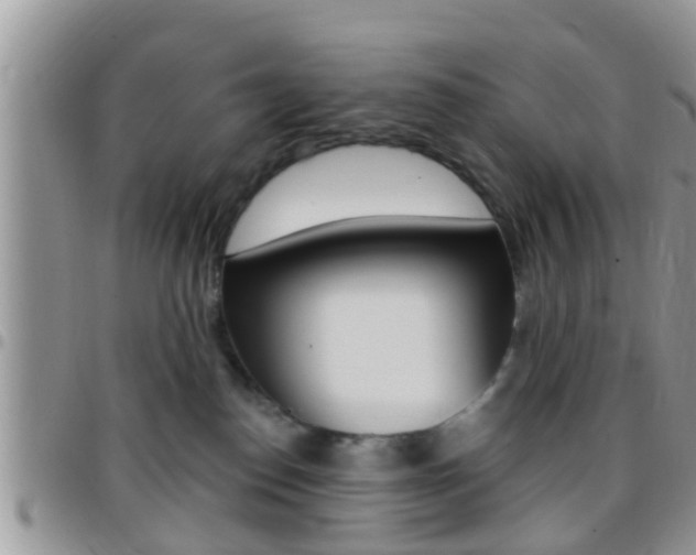 X0000096150186200801180837