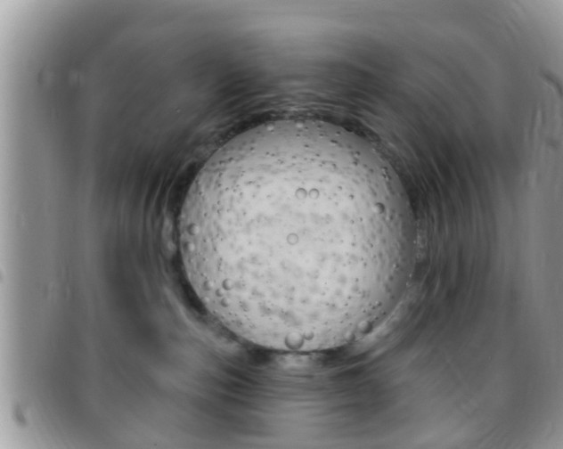 X0000096150187200801180837