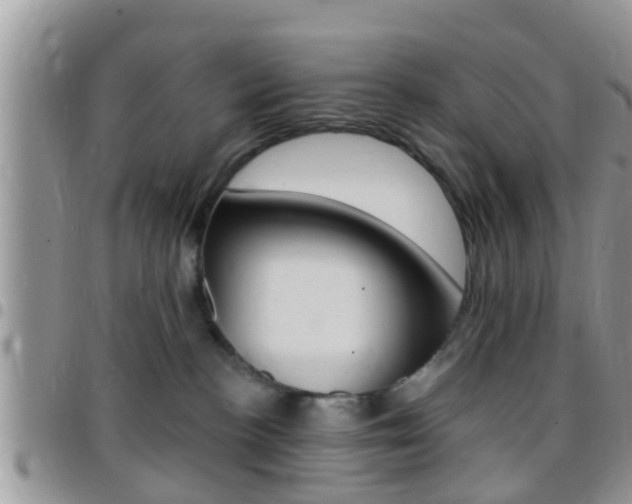 X0000096150188200801180837