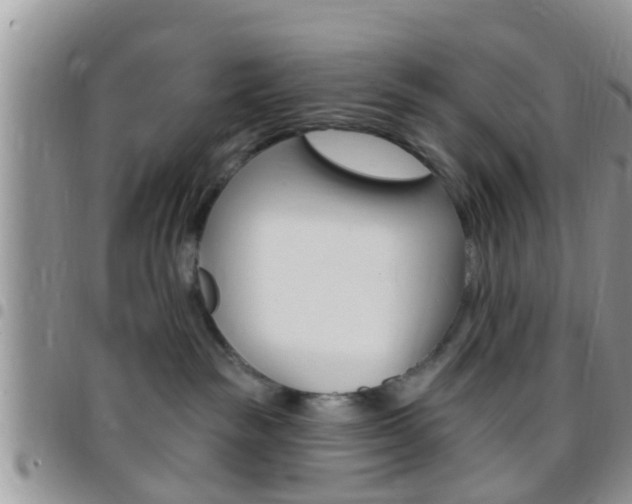X0000096150189200801180837