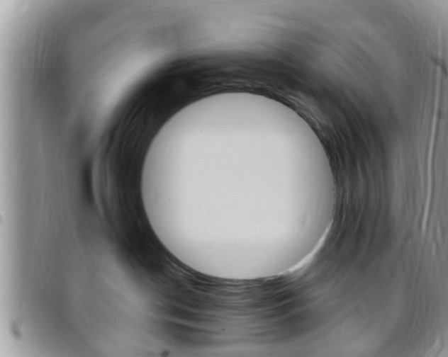 X0000096150190200801180837