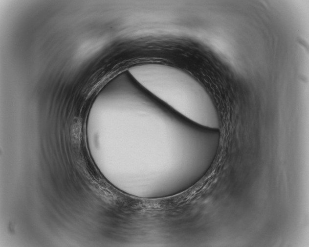 X0000096150194200801180837