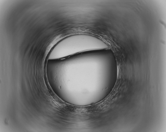 X0000096150195200801180837