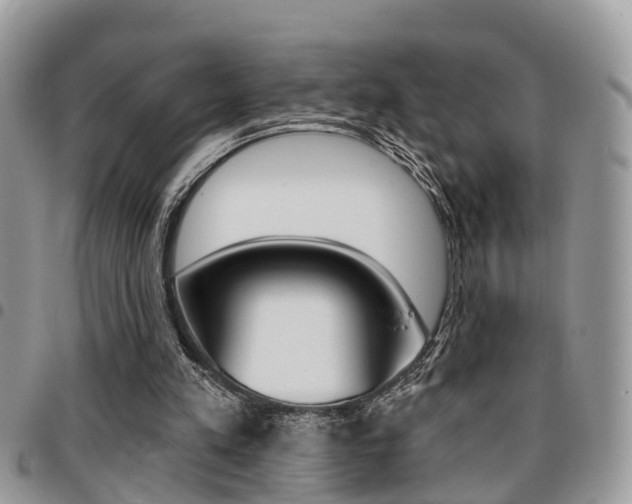 X0000096150197200801180837