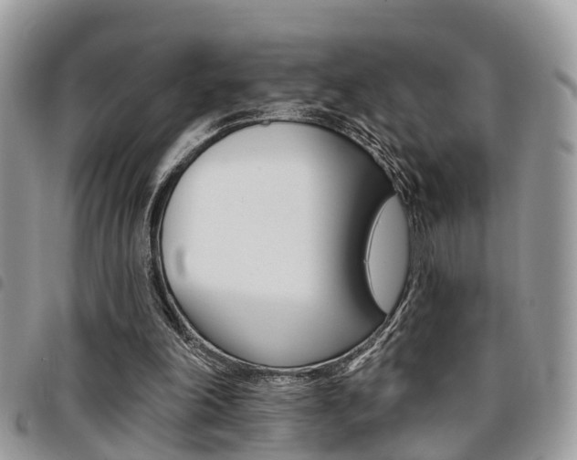 X0000096150198200801180837