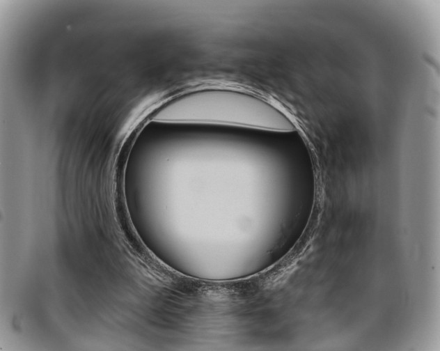X0000096150199200801180837