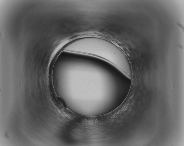 X0000096150200200801180837