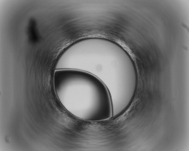 X0000096150201200801180837