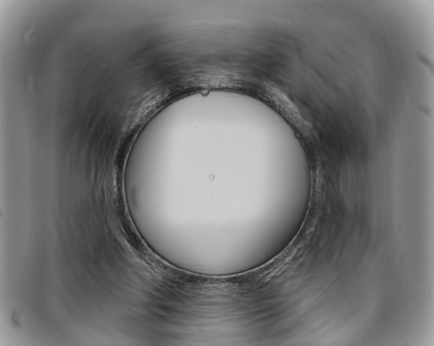 X0000096150202200801180837