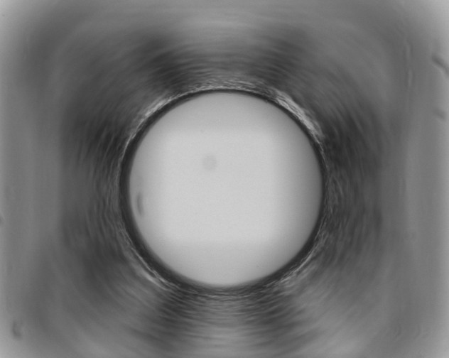 X0000096150203200801180836